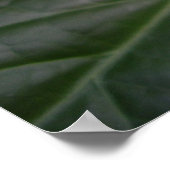 オレンジ色の花02 ポスター (角)