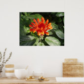 オレンジ色の花02 ポスター (キッチン)