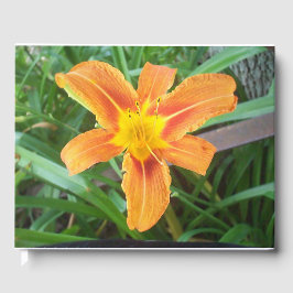 オレンジ色の花 ゲストブック