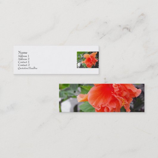 オレンジ色の花 スキニー名刺 (正面/裏面)