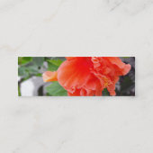 オレンジ色の花 スキニー名刺 (裏面)