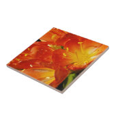 オレンジ色の花 タイル (側面)