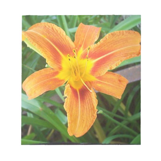 オレンジ色の花 ノートパッド (正面)