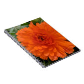 オレンジ色の花 ノートブック (右側)