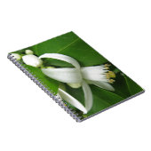 オレンジ色の花 ノートブック (右側)