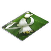 オレンジ色の花 ノートブック (左側)