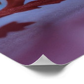 オレンジ色の花 ポスター (角)