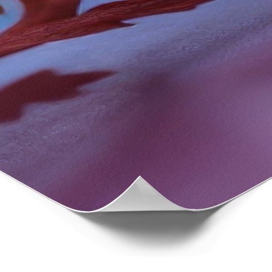 オレンジ色の花 ポスター (角)