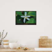 オレンジ色の花 ポスター (キッチン)