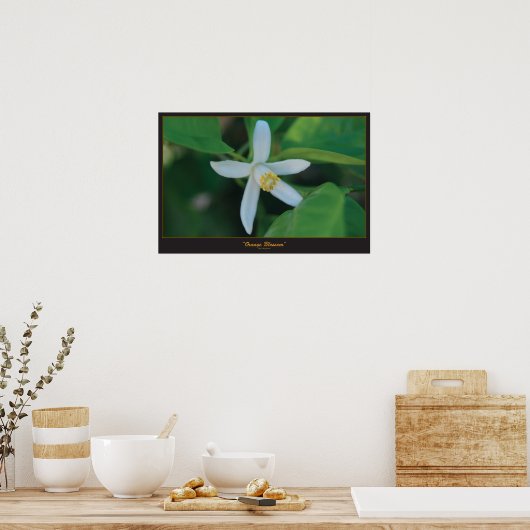 オレンジ色の花 ポスター (キッチン)