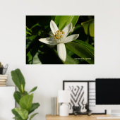 オレンジ色の花 ポスター (ホームオフィス)