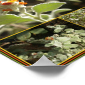 オレンジ色の花 ポスター (角)