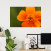 オレンジ色の花 ポスター (ホームオフィス)
