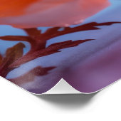 オレンジ色の花 ポスター (コーナー)