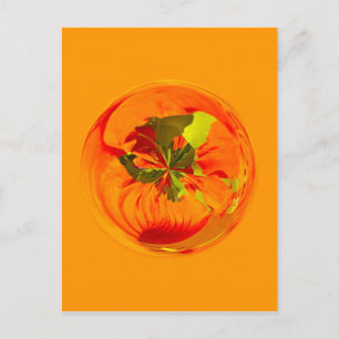 オレンジ色の花 ポストカード