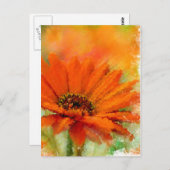 オレンジ色の花 ポストカード (正面/裏面)