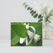 オレンジ色の花 ポストカード (スタンド正面)