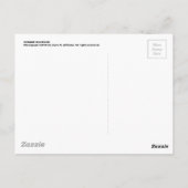 オレンジ色の花 ポストカード (裏面)