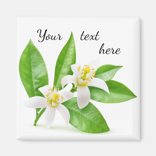 オレンジ色の花 マグネット (正面)