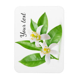 オレンジ色の花 マグネット