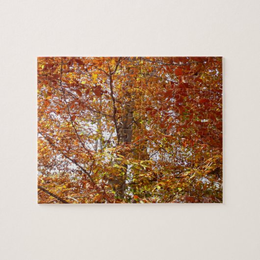 オレンジ色の葉の枝 紅葉の自然 ジグソーパズル (横)