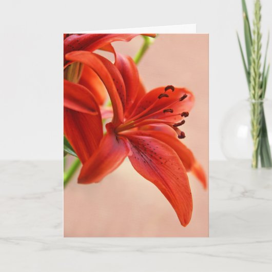 オレンジ色の虎の花の写真テンプレートで早く回復してね カード (正面)