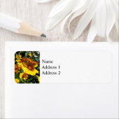 オレンジ色の蝶オンイエローコレオプシス ラベル (インサイチュ)