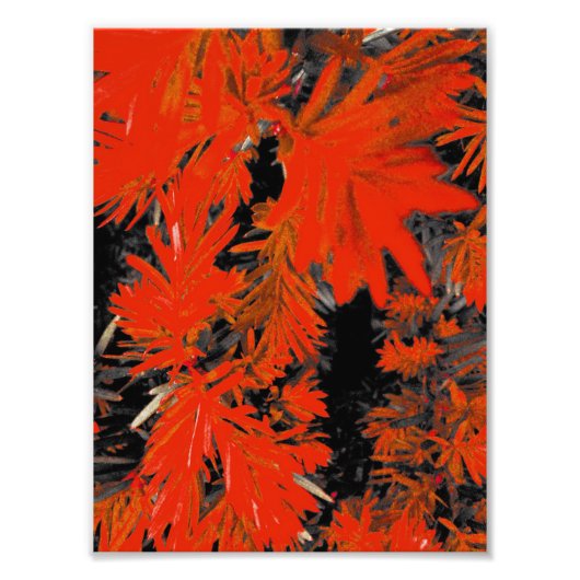 オレンジ色の行為 フォトプリント            (正面)