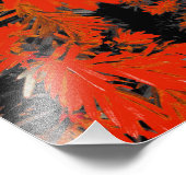 オレンジ色の行為 フォトプリント            (角)