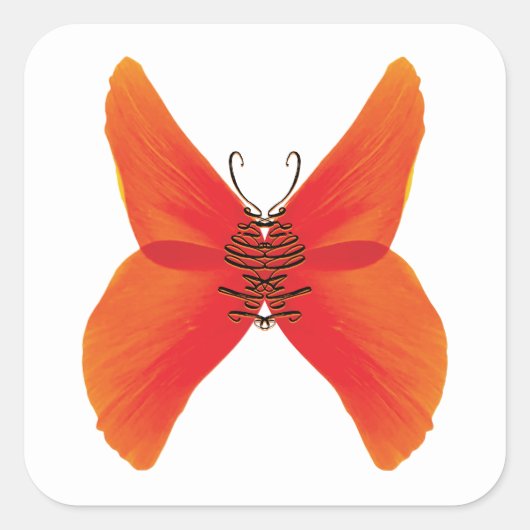 オレンジ色の赤いケシの蝶あなたの名前 スクエアシール (正面)