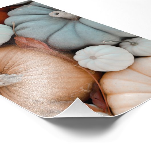 オレンジ色の赤い白と青のカボチャ フォトプリント (角)