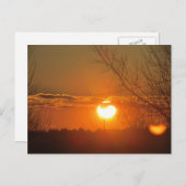 オレンジ色の輝き ポストカード (正面/裏面)