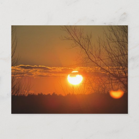 オレンジ色の輝き ポストカード (正面)
