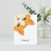 オレンジ色の逆さになった猫 招待状 (スタンド正面)