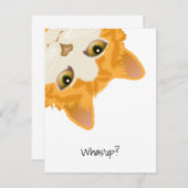 オレンジ色の逆さになった猫 招待状 (正面/裏面)