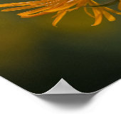 オレンジ色の頭花Inula Orientalis CC0023 ポスター (角)