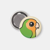 オレンジ色の顔をしたモモ顔のラブバード マグネット (正面/裏面)