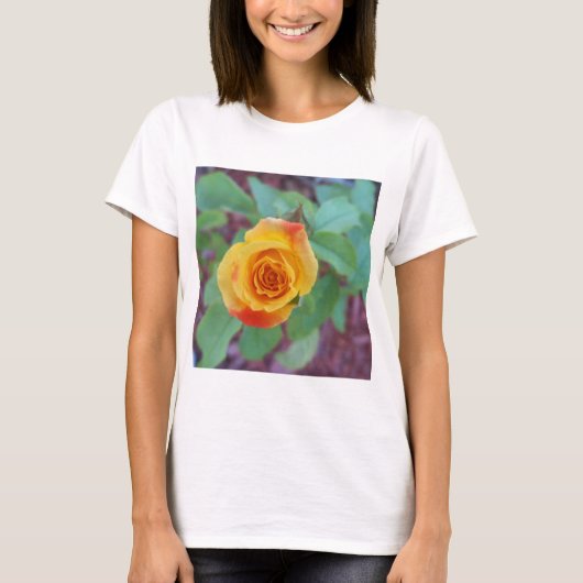 オレンジ色の黄色いバラと朝露 Tシャツ (正面)