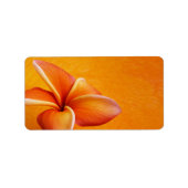 オレンジ色の黄色いプルメリア花オレンジ色の背景 ラベル (正面)
