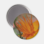 オレンジ色の黄色い花写真用マグネット マグネット (正面/裏面)