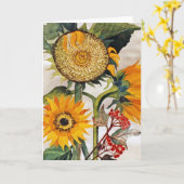 オレンジ色の黄色の播種ひまわりアート カード (黄色い花)