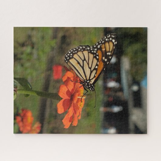 オレンジ色の(昆虫)オオカバマダラ、モナーク蝶ケープメーマイグレーション中 ジグソーパズル (横)