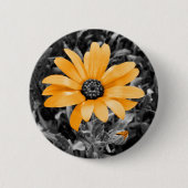 オレンジ色スプラッシュアフリカデイジー写真 缶バッジ (正面)
