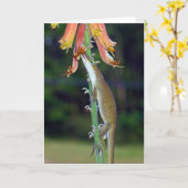 オレンジ花からのAnoleの飲む果汁 カード (黄色い花)