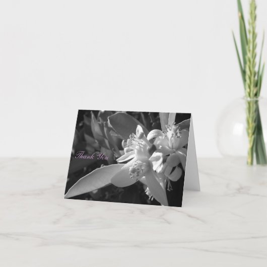 オレンジ花のサンキューカード サンキューカード (正面)