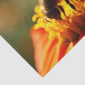 オレンジ花のティッシュペーパーの原産の蜂 薄葉紙 (詳細)