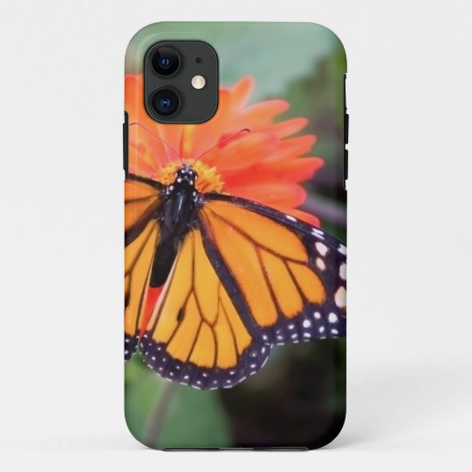 オレンジ花のマダラチョウ Case-Mate iPhoneケース (裏面)