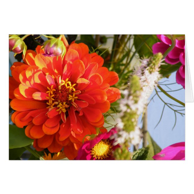 オレンジ花 (正面横)