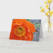 オレンジ花 カード (黄色い花)