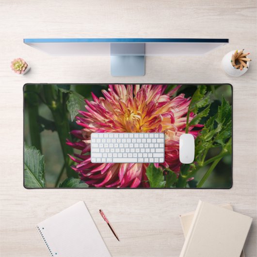 オレンジ菊の写真、カナダフラワー デスクマット (オフィス1)